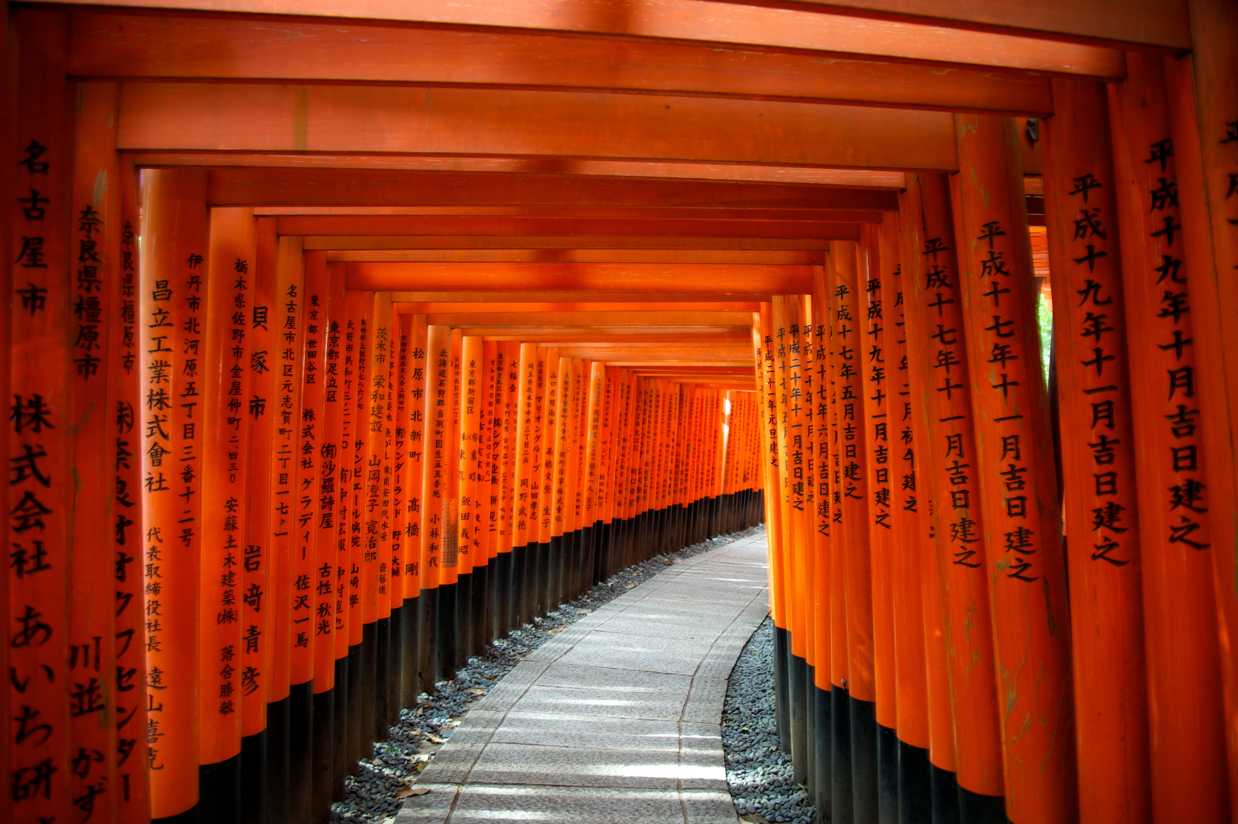 Orange torii gates in Kyoto