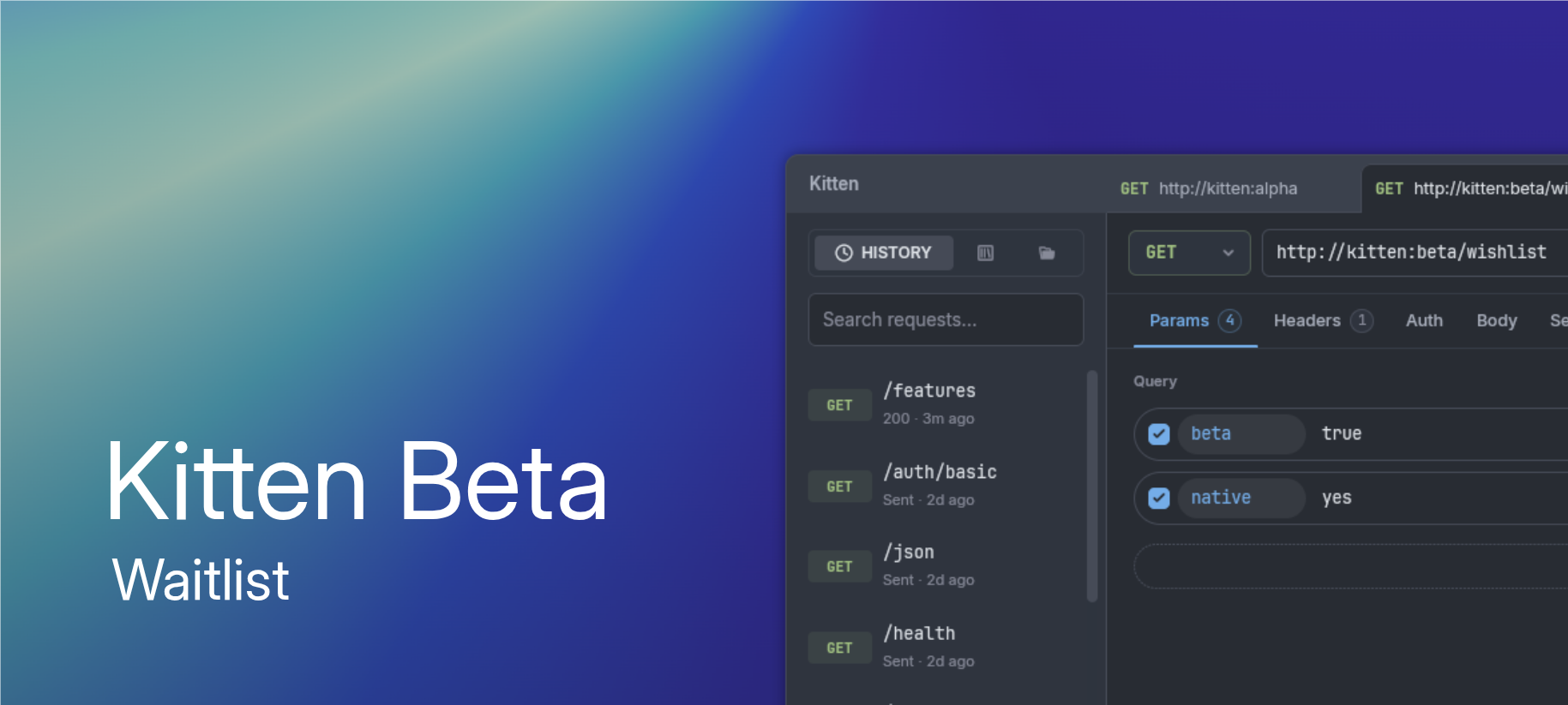 This is Kitten, an API client written in Rust (GPUI) - you can switch between tabs, create/delete ta